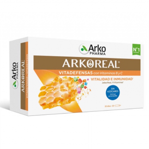 ARKOREAL JALEA REAL 1000MG LIG