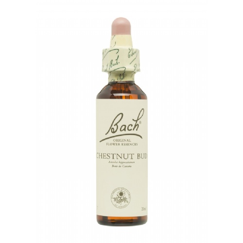 BACH 07 CHESNUT BUD 20 ML BACH