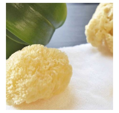 BETER ESPO NATURAL MARI R22227