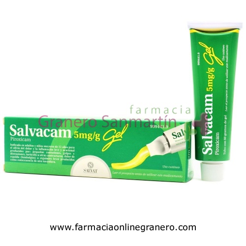 SALVACAM 5mg/g  GEL , 1 tubo de 60 g