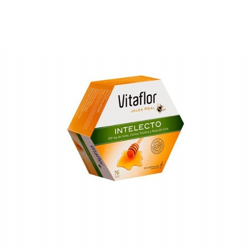 VITAFLOR INTELECTO 20 VIALES