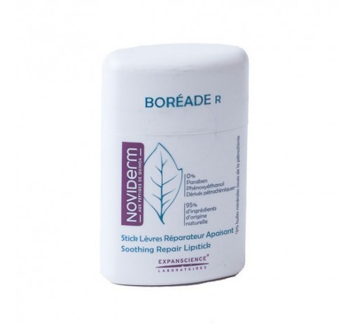 BOREADE R STICK REPARADOR 11ML