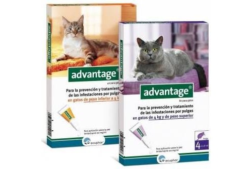 Advantage 40 gatos 0 a 4 kg