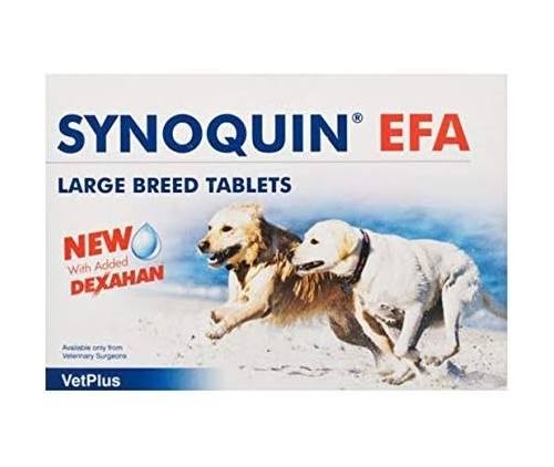 Synoquin tasty raza gde 120 co