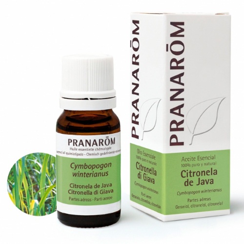 ACEITE ESEN CITRONELA  JAVA 10