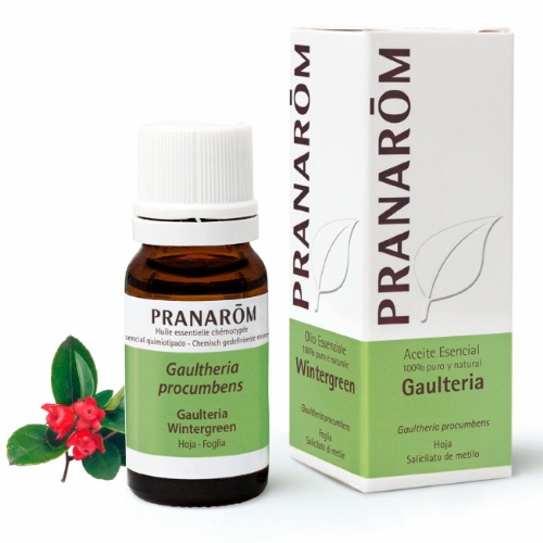 ACEITE ESEN GAULTERIA 10ML
