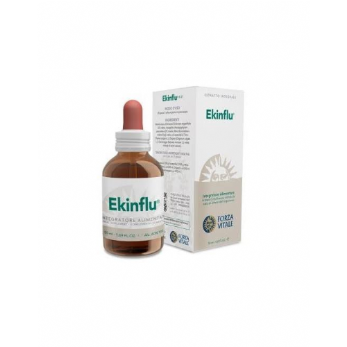 DMG VITALE E-19 GTS 50 FORZA V