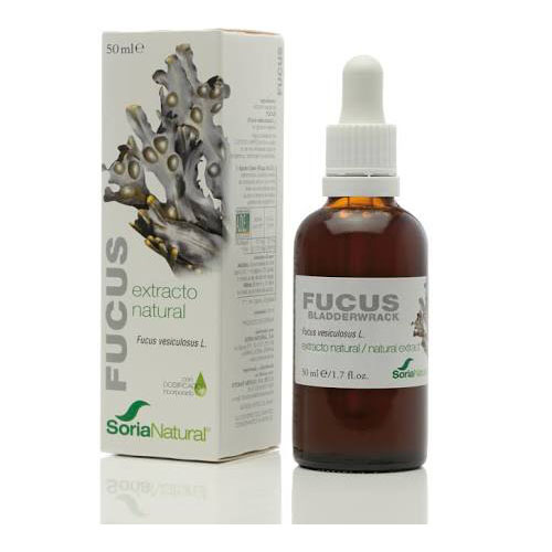 Babybio leche 1 900 g babybio