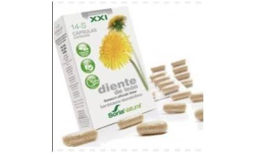 HIDROXICITRATO 250MG 60C SOLGA