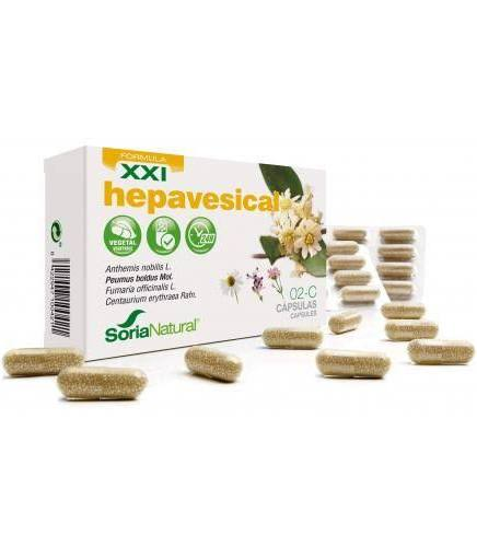 SORIA 2-C BOLDO DIGESPAG 60 CA