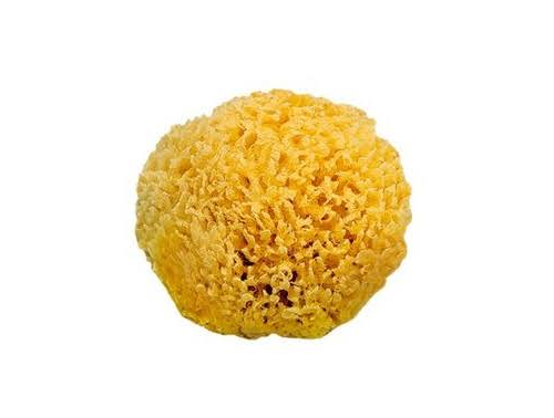 ESPONJA NATURAL MARINA SARO RE