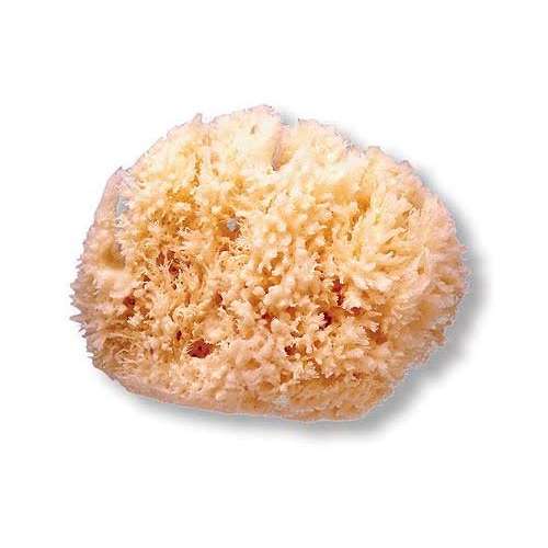 Esponja baño infantil - suavinex (natural)