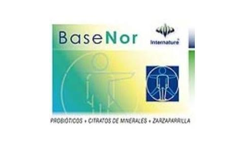 BASENOR 500 MG 60 CA INTERNATU