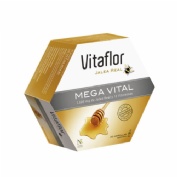 VITAFLOR MEGA VI 1500 20 VIAL