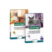 Advantage 40 gatos 0 a 4 kg