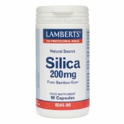 SILICA 200 MG 90 CAPS LAMBERT