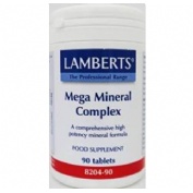 MEGA MINE COMPLEX 90TA LAMBERT