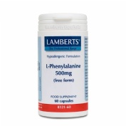 L-FENILALANINA 500MG 60CO LAMB