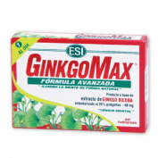 GINKGOMAX 30 TAB