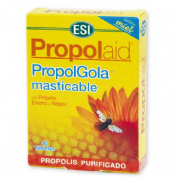 PROPOLAID PROPOLGOLA MENTA 30