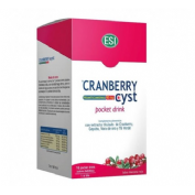 CRANBERRY POCKET DRINK (16 SOBRES)