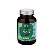 ECHINAFORC HOT DRINK 100ML BIO