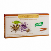 SANTIVERI HARPAGOPHY COMPO AMP