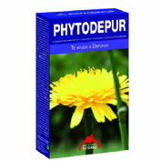 PHYTODEPUR 60 CAPSULAS INTERSA