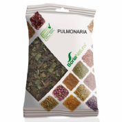 SORIA PULMONARIA PLANTA 25 G