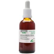 Echinacea extracto glicer.50ml xxi soria