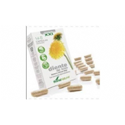 HIDROXICITRATO 250MG 60C SOLGA