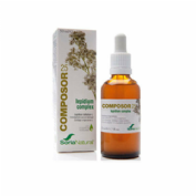 DISPENSADOR DE MEDICAMTOS 7DIA