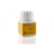 MAGENSIO 500 MG 100 COMP