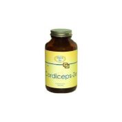 HONGO CORDICEPS 500 180CA ZEUS