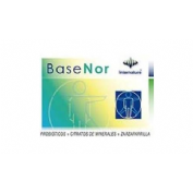 BASENOR 500 MG 60 CA INTERNATU