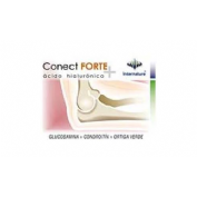 CONECT FTE 60 CAPS INTENATURE