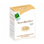 Boswelliaselect (60 capsulas vegetales)