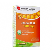 JALEA REAL 1000 MG 20 AMP