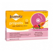 JUANOLA PROPOLIS FRUT BOSQ 24