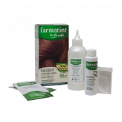 FARMATINT 4M CASTA?O CAOBA