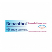 BEPANTHOL POMADA PROTEC 100 GR