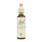 BACH 07 CHESNUT BUD 20 ML BACH