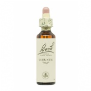 BACH 09 CLEMATIS 20 ML BACH