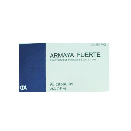ARMAYA FUERTE 120 mg CAPSULAS DURAS. , 96 cápsulas