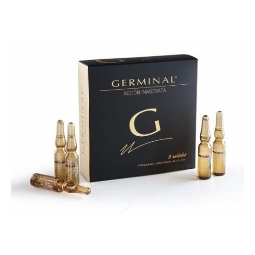 GERMINAL 5 AMP