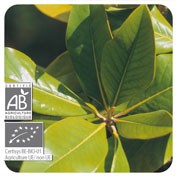 PRANAROM ACEITE NARANJO AMARGO